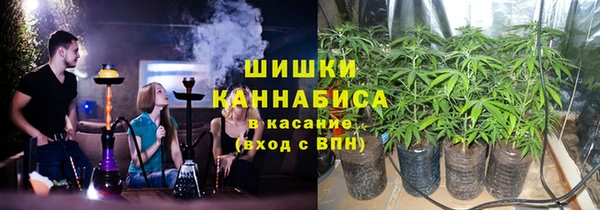 PSILOCYBIN Алексин