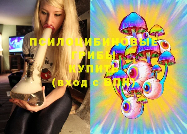 PSILOCYBIN Алексин